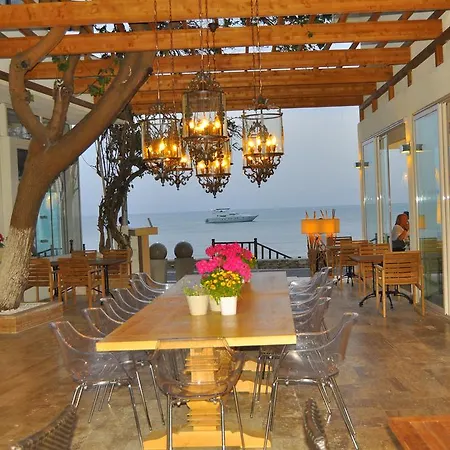 Sunprime Dogan - Adult Only Side